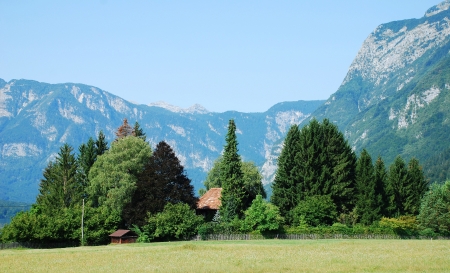 A copse in a valley near Stara Fuzina near the shore of Lake Bohinj in the Upper Carniola region of Slovenia  It is part of the Triglav National Park and is located in a valley of the Julian Alps の写真素材