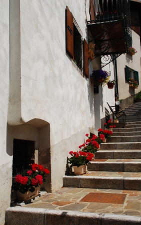 A row of potted red geraniums lined up on a stepped street in a village in the Friulian hills, north east Italyの写真素材