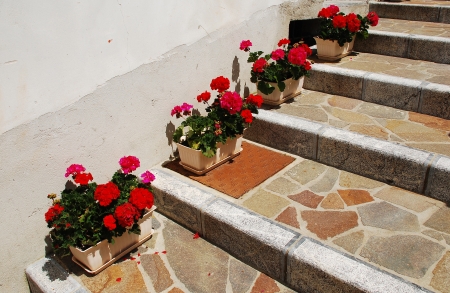 A row of potted red geraniums lined up on a stepped street in a village in the Friulian hills, north east Italyの写真素材