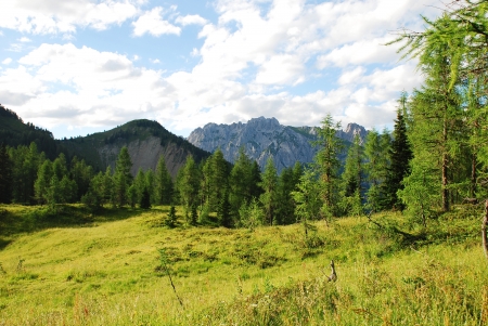 The landscape on Sella di Rioda in the Carnic Alps in north eastern Italyの写真素材