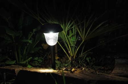 Solar lights in a garden after dark  Beet plants and a palm can be seen growing in the gardenの写真素材