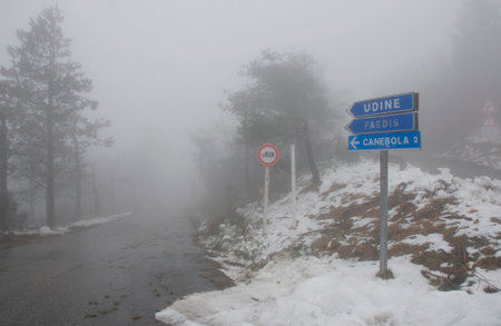 Canebola  Friuli, Italy  on 8th February 2014  The area suffered massive tree damage over several days due to the rime and remains under very low cloud cover, hence the poor lighting conditionsのeditorial素材