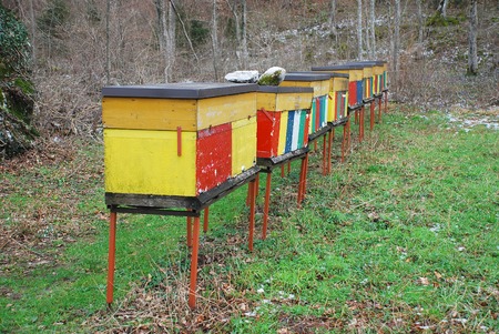 A row of colourful beehives near Kobarid in Sloveniaの写真素材