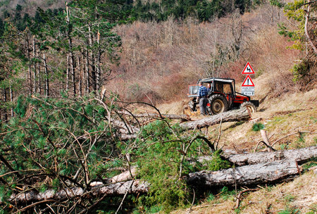 Foresters with tractors clear trees damaged following recent heavy rime near Canebola  Friuli, Italy  on 18th February 2014  The area suffered massive tree damage over several days due to the rime, as did the nearby area of Slovenia のeditorial素材