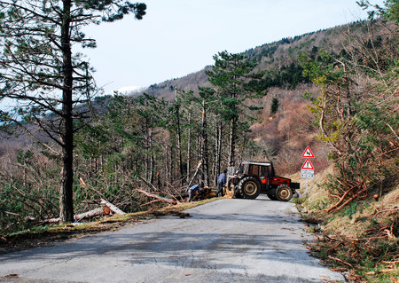 Foresters with tractors clear trees damaged following recent heavy rime near Canebola  Friuli, Italy  on 18th February 2014  The area suffered massive tree damage over several days due to the rime, as did the nearby area of Slovenia のeditorial素材