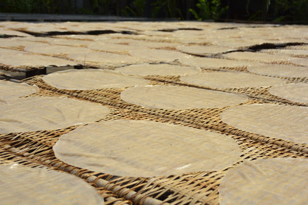 Freshly made noodle sheets drying in the sun before being cut into noodle strips in a Vietnamese noodle factoryの写真素材
