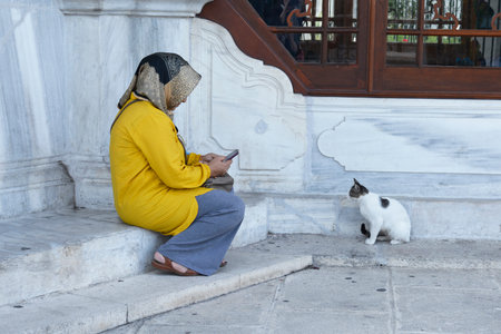 Istanbul, Turkey - September 7th 2019. A woman uses her phone to photograph one of Fatih' mosques resident catsのeditorial素材