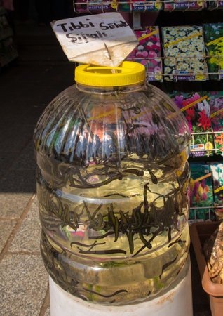Istanbul, Turkey - September 9th 2019. Medical leeches for sale at a shop on the outside part of the Egyptian Spice Bazaar, also known as Misir Carsisi, in Eminonu in the Fatih district of Istanbulのeditorial素材