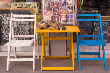 Istanbul, Turkey - September 7th 2019. One of Istanbuls numerous street cats in the Fener Balat district makes himself at home on a table outside a shopのeditorial素材