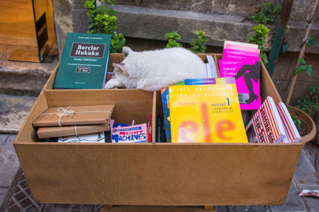 Istanbul, Turkey - September 5th 2019. A street cat sleeps in a box of books for sale outside a bookshop in the Kabatas quarter of Beyoglu, on the European side of Istanbulのeditorial素材