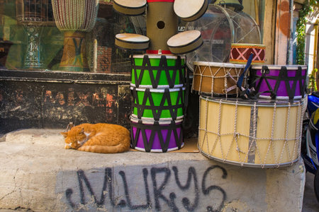 Istanbul, Turkey - September 9th 2019. A street cat sleeps peacefully outside a music shop on a busy street in the Galata district of Beyoglu, Istanbulのeditorial素材