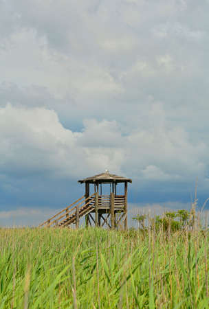 A wooden wildlife observation tower in the wetlands of Isola Della Cona in Friuli-Venezia Giulia, north east Italyの写真素材