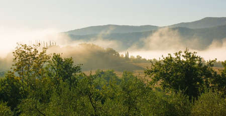 Morning mist rising over the late summer green landscape near Murlo, Siena Province, Tuscany, Italyの写真素材