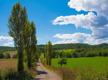 The late summer landscape around Buonconvento in Siena Province, Tuscany, Italyの写真素材