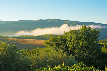 Morning mist rising over the late summer landscape near Murlo, Siena Province, Tuscany, Italyの写真素材