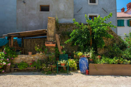 The urban garden in front of a residential building in the historic medieval village of Buje in Istria, Croatiaの写真素材