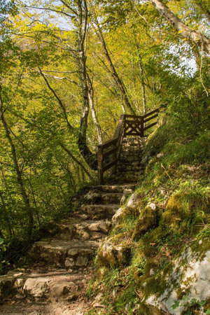 A shady footpath along the Tolminka River which flows through Tolmin Gorge in the Triglav National Park, north western Sloveniaの写真素材
