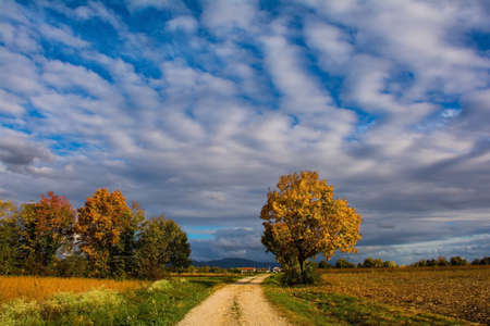 The mid-November autumn landscape in the fields of Moimacco near Cividale del Friuli, Udine Province, Friuli-Venezia Giulia, north east Italyの写真素材