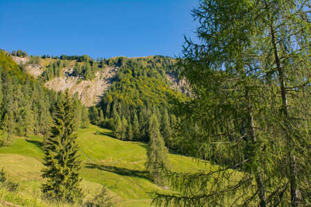 Monte Morgenleit near Sauris di Sopra, Udine Province, Friuli-Venezia Giulia, north east Italy. Viewed from Sauris di Sopra. Late Septemberの写真素材