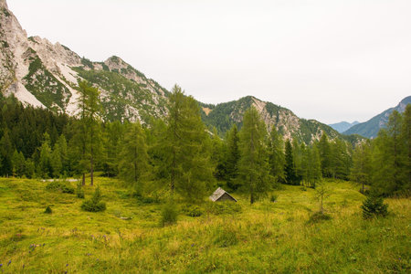 The Alpine landscape near Prisank in the Julian Alps, north west Sloveniaの写真素材