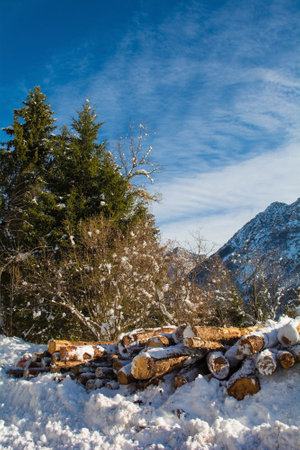 The snowy mid-December landscape near Erto in Pordenone province, Friuli-Venezia Giulia, north east Italyの写真素材