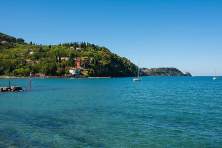 Strunjan protected marine park on the coast of Slovenia in the Gulf of Trieste, mid September. The historic medieval town of Piran can be seen background rightの写真素材