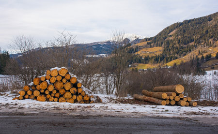 The snowy winter landscape near Sankt Margarethen in the Sankt Paul im Lavanttal municipality of the Wolfsberg District, Carinthia, Austriaの素材 [FY310198138110]