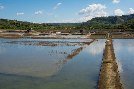 Saltpans within the Strunjan protected marine park on the coast of Slovenia in the Gulf of Trieste, mid Septemberの写真素材