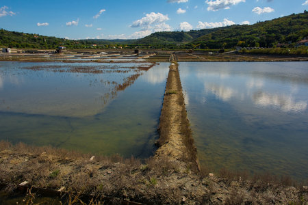 Saltpans within the Strunjan protected marine park on the coast of Slovenia in the Gulf of Trieste, mid Septemberの写真素材