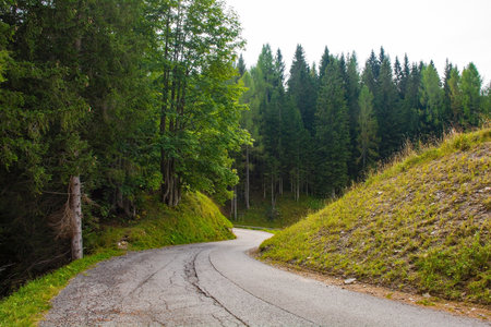A road on Monte Ruke near Sauris di Sopra, Udine Province, Friuli-Venezia Giulia, north east Italy. Late Septemberの写真素材