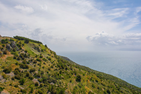The coast near Bol on the south coast of Brac Island in Croatia in Mayの写真素材
