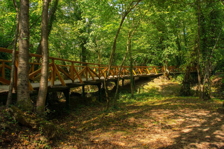 A raised wooden walkway in the Japod Islands, or Japodski Otoci, near Bihac in the Una National Park. Una-Sana Canton, Federation of Bosnia and Herzegovinaの写真素材
