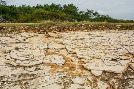 The rugged limestone landscape of the Kamenjak National Park on the Premantura peninsula in Medulin...