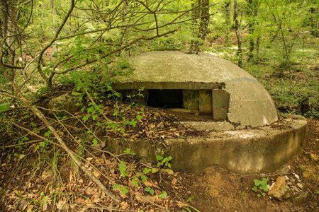 An abandoned pillbox bunker in the forest on Mount Dajti near Tirana in Central Albania. A relic from the 1960s -1980s Hoxha government's bunkerization program driven by a fear of invasionの写真素材
