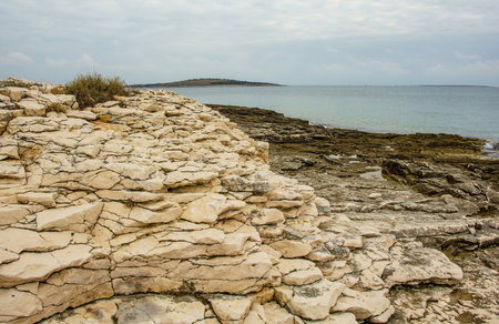 The rugged limestone landscape of the Kamenjak National Park on the Premantura peninsula in Medulin municipality, Istria, Croatia. Decemberの写真素材
