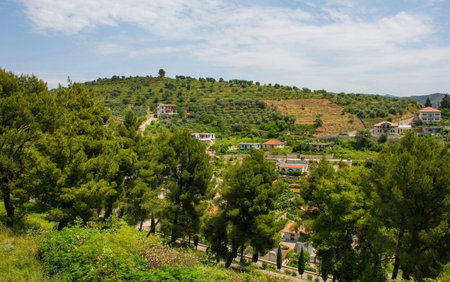 The June landscape around the historic town of Berat in southern Albania. Viewed from Berat Castle. A picturesque rural landscape of olive groves, pine trees and terraced fields dotted with housesの写真素材