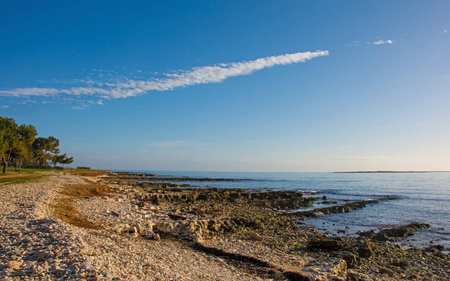 The rugged limestone coast just south of Medulin, Istria, Croatia. Decemberの写真素材