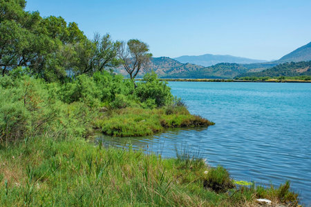 The lush green landscape near Lake Butrint in Southern Albania, part of the Butrint National Park. A saltwater lagoon connected to the Ionian Sea through the Vivari Channel. It is famous for its rich biodiversity, including rare bird speciesの写真素材