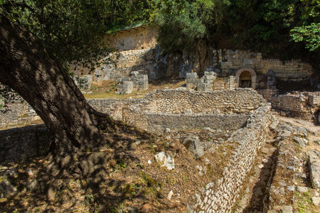 The Roman Forum in Butrint Archaeological Park, within Butrint National Park, southern Albania. A UNESCO World Heritage Site. This was Butrint's civic centre, surrounded by administrative and commercial buildings, and including a marketplace, temples and a basilica. The shrines at the north of the Forum are seen background right along with the Stoa Church in the centre topの写真素材