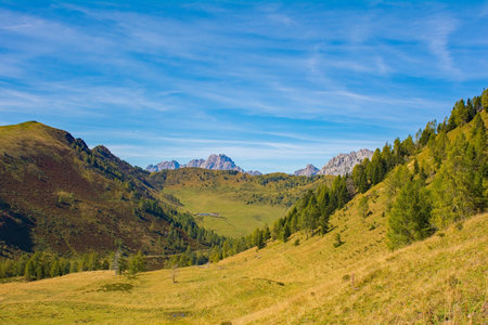 The Laghi di Festons alpine meadow on Sella Festons near Sauris di Sopra, Udine Province, Friuli-Venezia Giulia, north east Italy. Used as a summer pasture for dairy cowsの写真素材