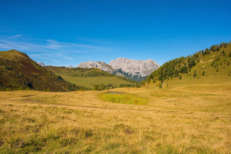 The Laghi di Festons alpine meadow on Sella Festons near Sauris di Sopra, Udine Province, Friuli-Venezia Giulia, north east Italy. Used as a summer pasture for dairy cowsの写真素材