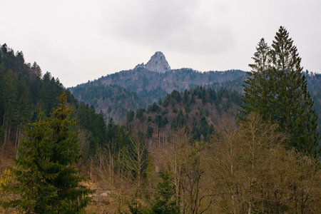 The early spring landscape around the village of Forni Avoltri in Val Degano valley in Carnia, Udine Province, Friuli-Venezia Giulia, north east Italyの写真素材