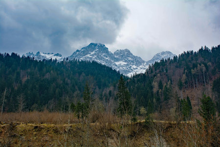 The early spring landscape around the village of Forni Avoltri in Val Degano valley in Carnia, Udine Province, Friuli-Venezia Giulia, north east Italyの写真素材