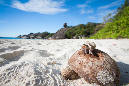 the beach of Thailandの写真素材