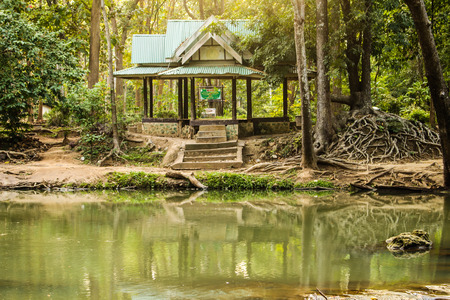 Boardwalk Hall in in the national park for Thailand.の写真素材