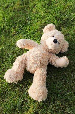 a cute teddy bear lying on grass from aboveの写真素材