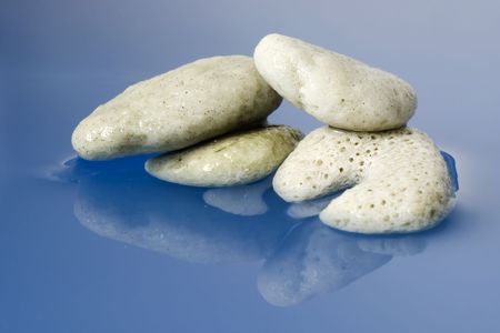 Small pieces of dead corals on water backgroundの写真素材