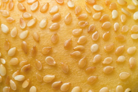 Closeup of sesame seeds on a bunの写真素材