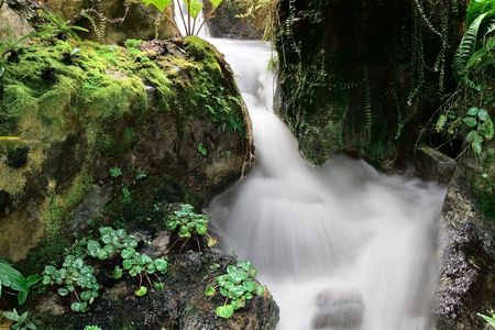 Small waterfall with silky flowing water in a tropical rainforest