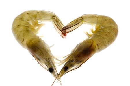 Two grey prawns forming a heart shape isolated on white backgroundの写真素材